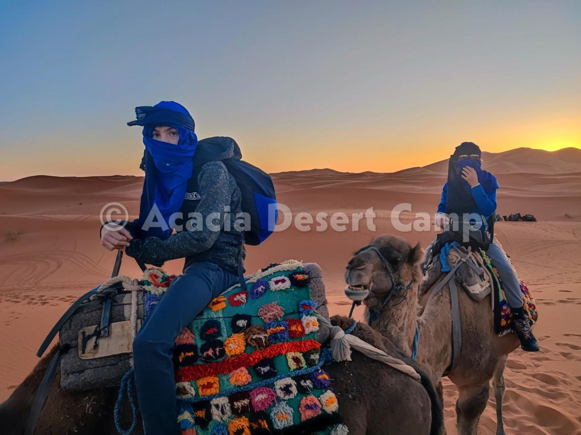 ホテル Acacia Desert Camp メルズーガ エクステリア 写真