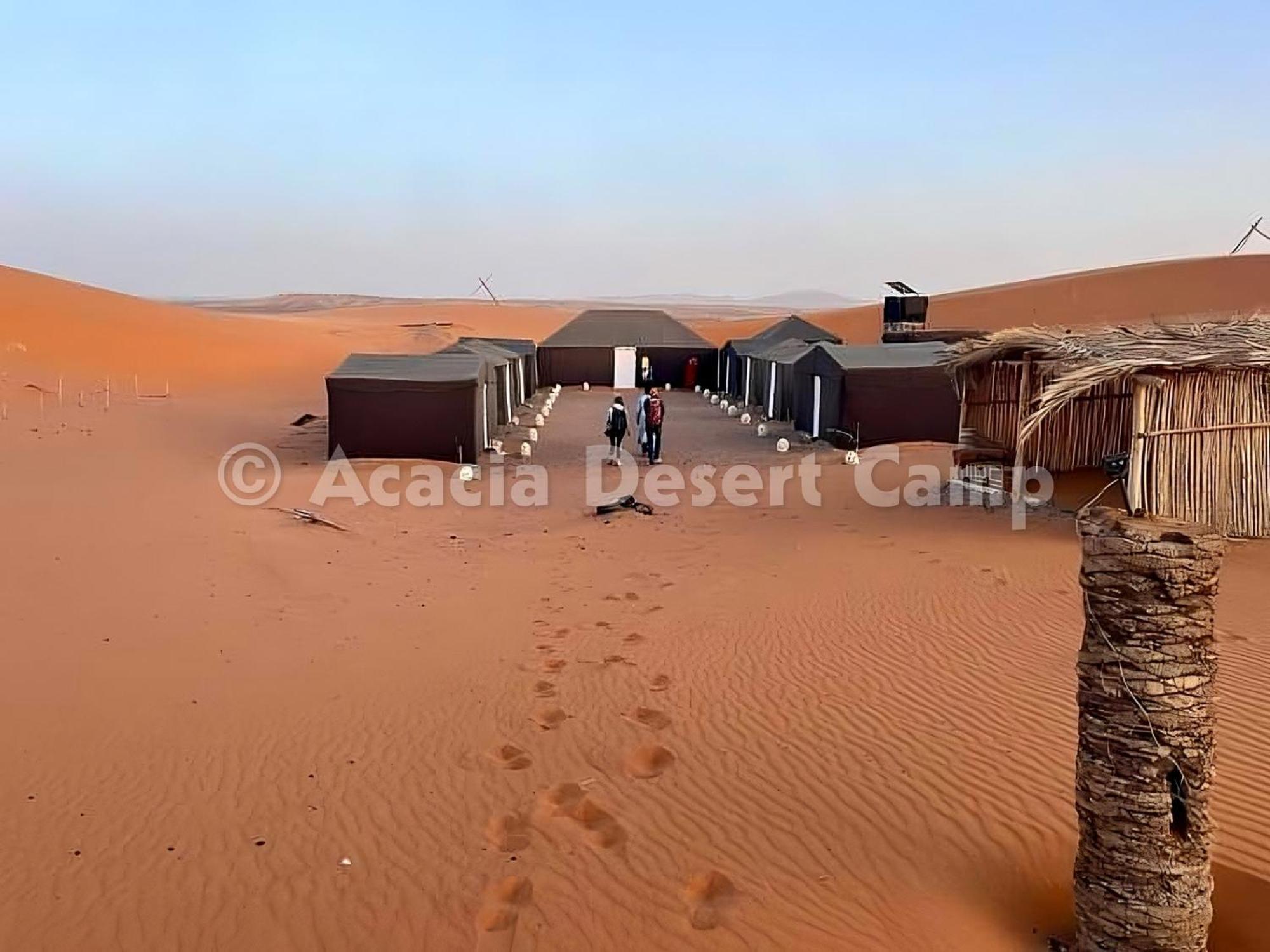 ホテル Acacia Desert Camp メルズーガ エクステリア 写真