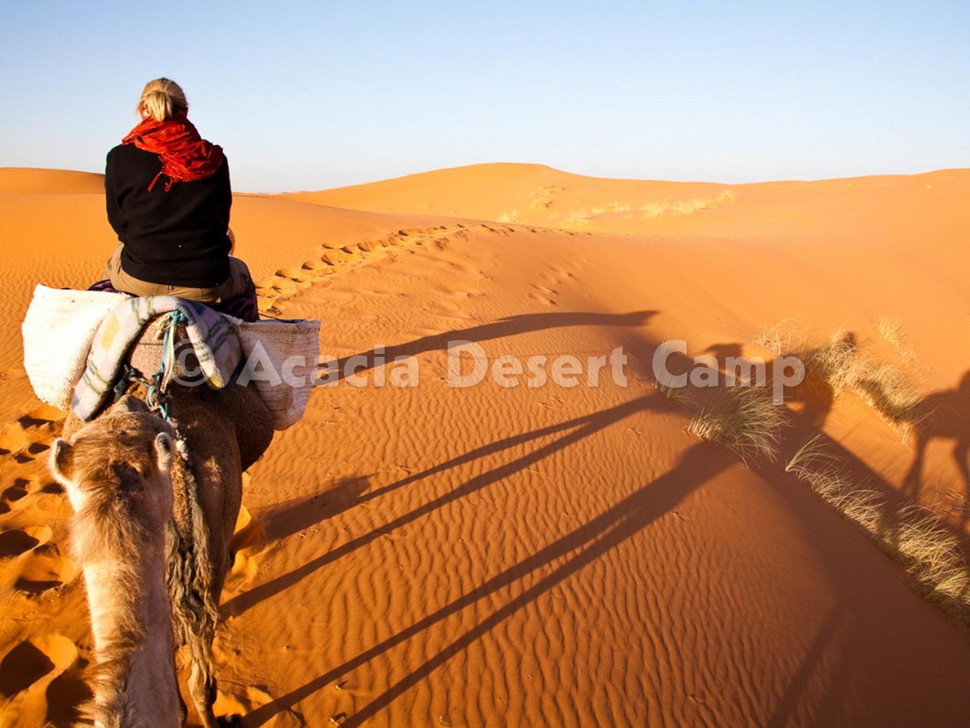ホテル Acacia Desert Camp メルズーガ エクステリア 写真