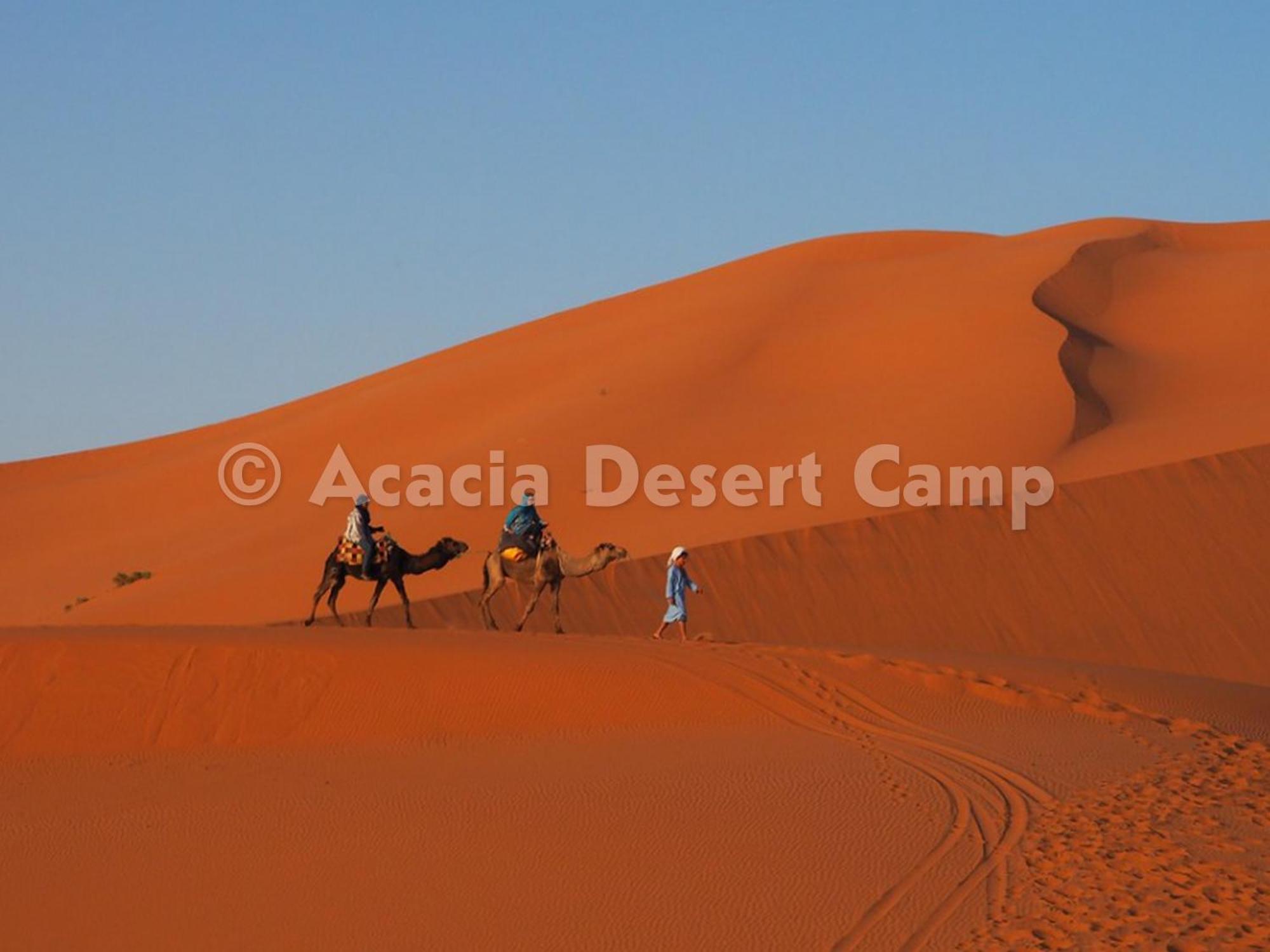 ホテル Acacia Desert Camp メルズーガ エクステリア 写真