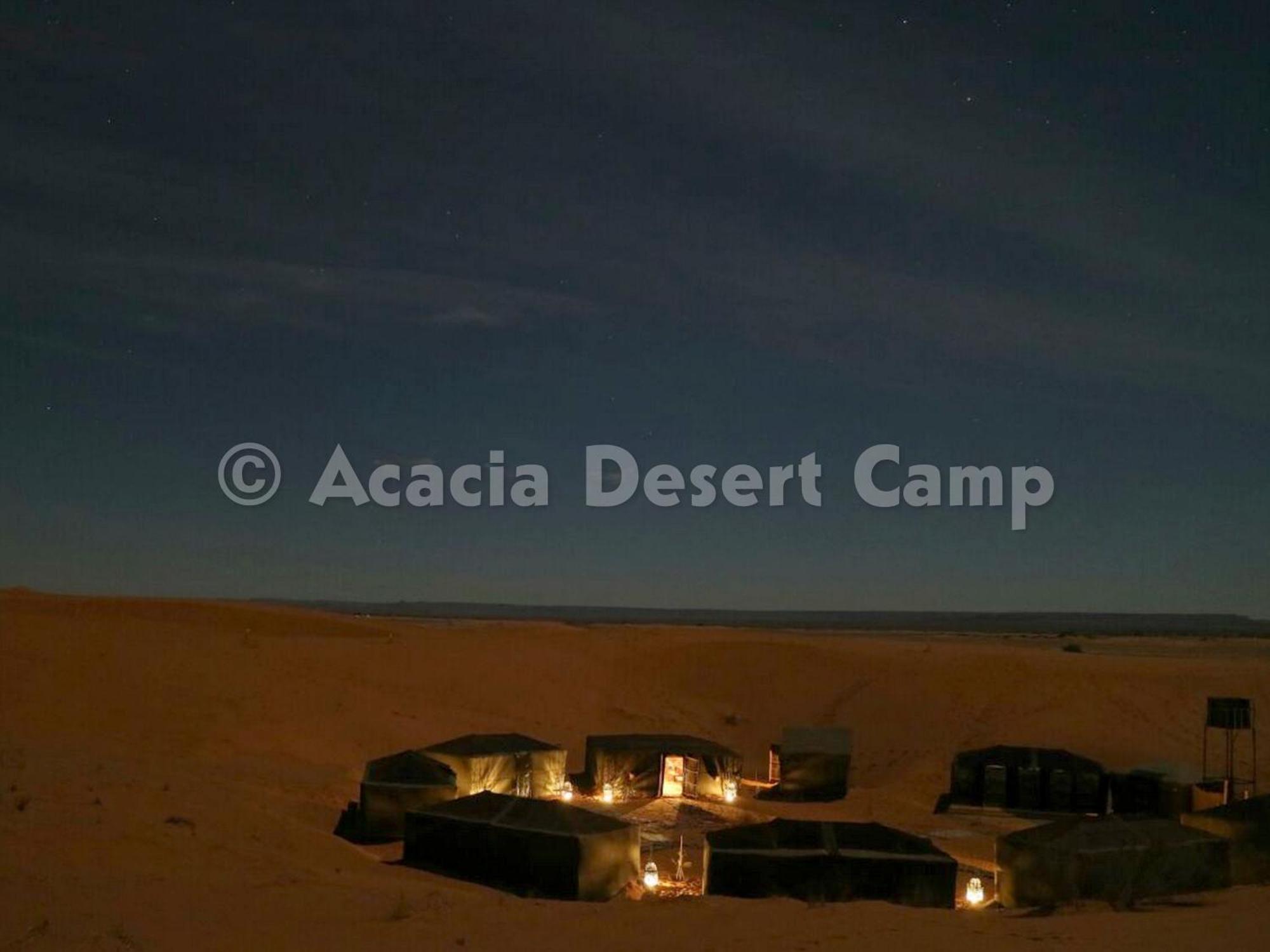 ホテル Acacia Desert Camp メルズーガ エクステリア 写真